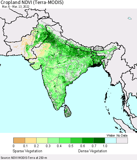Southern Asia Cropland NDVI (Terra-MODIS) Thematic Map For 3/6/2022 - 3/13/2022
