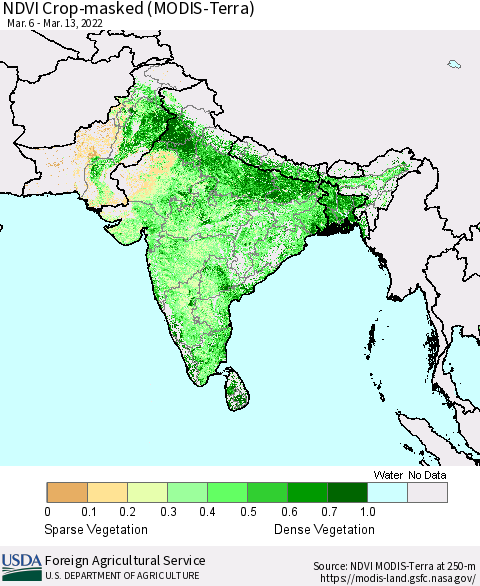 Southern Asia Cropland NDVI (Terra-MODIS) Thematic Map For 3/11/2022 - 3/20/2022