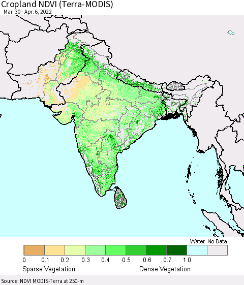 Southern Asia Cropland NDVI (Terra-MODIS) Thematic Map For 3/30/2022 - 4/6/2022