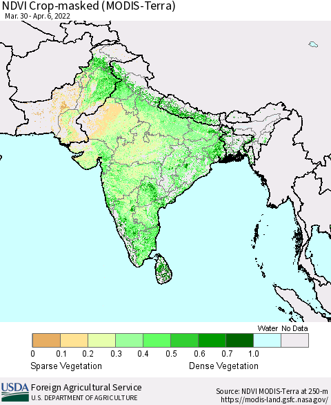Southern Asia Cropland NDVI (Terra-MODIS) Thematic Map For 4/1/2022 - 4/10/2022