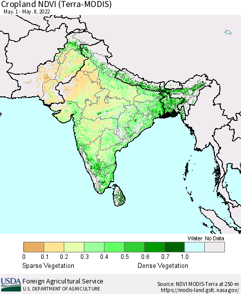 Southern Asia Cropland NDVI (Terra-MODIS) Thematic Map For 5/1/2022 - 5/10/2022