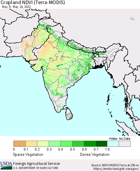 Southern Asia Cropland NDVI (Terra-MODIS) Thematic Map For 5/11/2022 - 5/20/2022