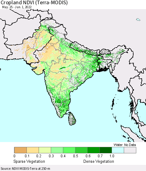 Southern Asia Cropland NDVI (Terra-MODIS) Thematic Map For 5/25/2022 - 6/1/2022