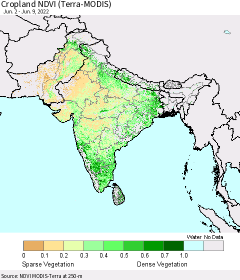 Southern Asia Cropland NDVI (Terra-MODIS) Thematic Map For 6/2/2022 - 6/9/2022