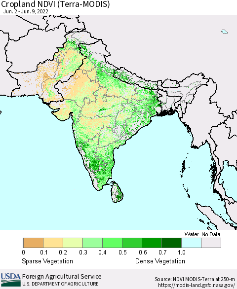 Southern Asia Cropland NDVI (Terra-MODIS) Thematic Map For 6/1/2022 - 6/10/2022