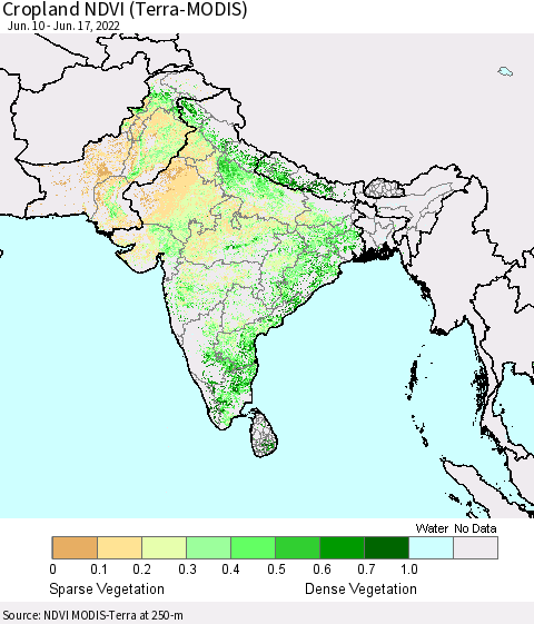Southern Asia Cropland NDVI (Terra-MODIS) Thematic Map For 6/10/2022 - 6/17/2022