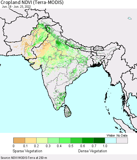 Southern Asia Cropland NDVI (Terra-MODIS) Thematic Map For 6/18/2022 - 6/25/2022