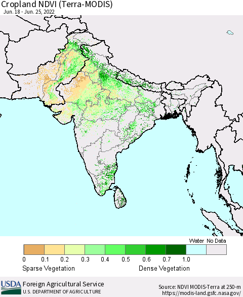 Southern Asia Cropland NDVI (Terra-MODIS) Thematic Map For 6/21/2022 - 6/30/2022