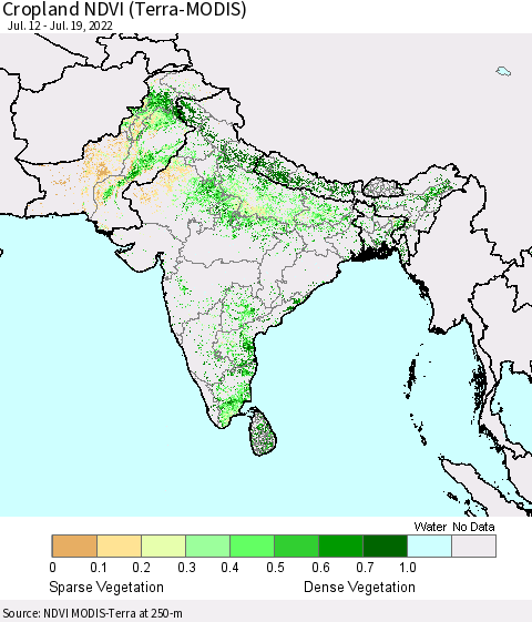 Southern Asia Cropland NDVI (Terra-MODIS) Thematic Map For 7/12/2022 - 7/19/2022