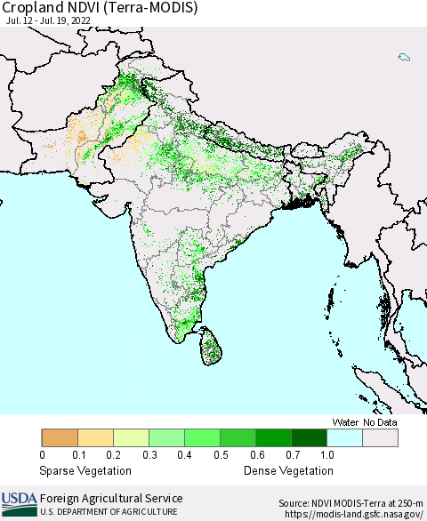 Southern Asia Cropland NDVI (Terra-MODIS) Thematic Map For 7/11/2022 - 7/20/2022