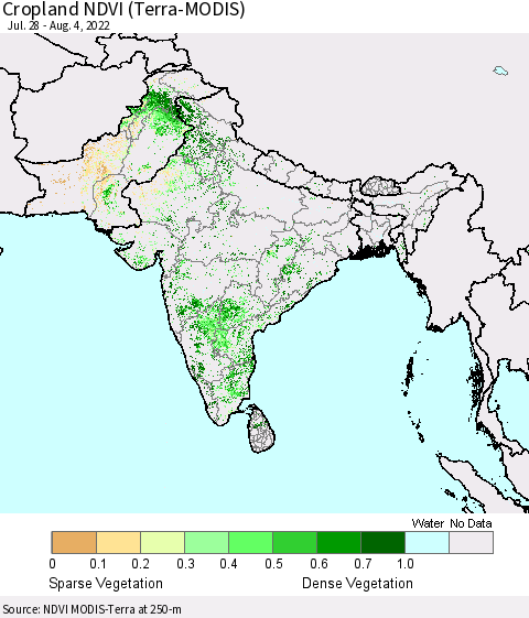 Southern Asia Cropland NDVI (Terra-MODIS) Thematic Map For 7/28/2022 - 8/4/2022