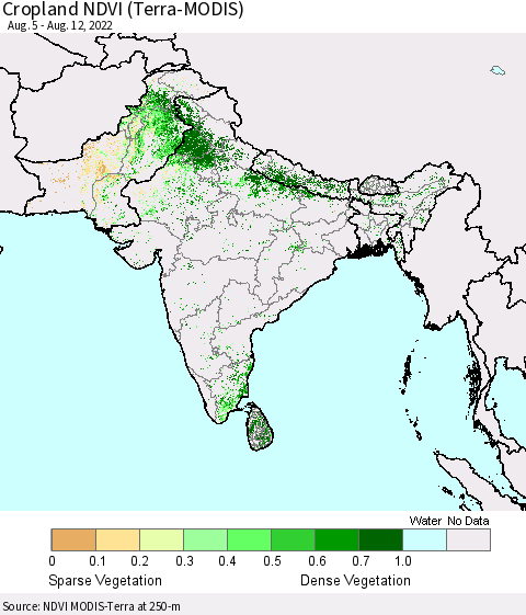 Southern Asia Cropland NDVI (Terra-MODIS) Thematic Map For 8/5/2022 - 8/12/2022