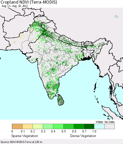 Southern Asia Cropland NDVI (Terra-MODIS) Thematic Map For 8/13/2022 - 8/20/2022