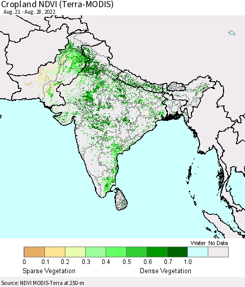 Southern Asia Cropland NDVI (Terra-MODIS) Thematic Map For 8/21/2022 - 8/28/2022