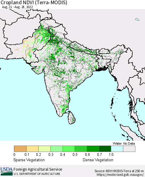 Southern Asia Cropland NDVI (Terra-MODIS) Thematic Map For 8/21/2022 - 8/31/2022
