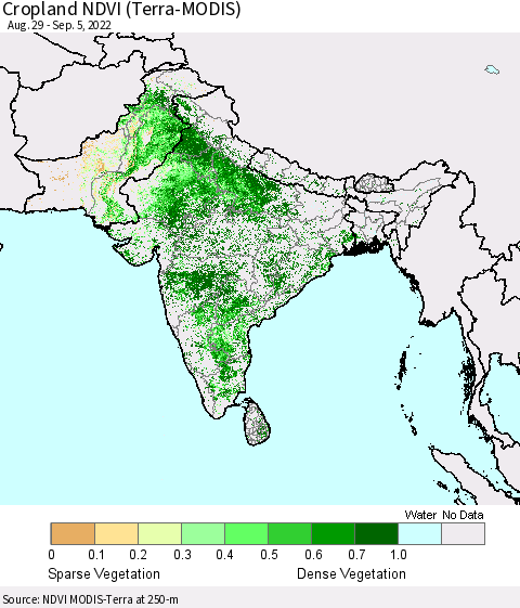 Southern Asia Cropland NDVI (Terra-MODIS) Thematic Map For 8/29/2022 - 9/5/2022