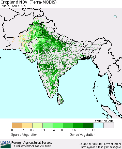 Southern Asia Cropland NDVI (Terra-MODIS) Thematic Map For 9/1/2022 - 9/10/2022