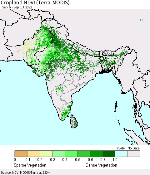 Southern Asia Cropland NDVI (Terra-MODIS) Thematic Map For 9/6/2022 - 9/13/2022