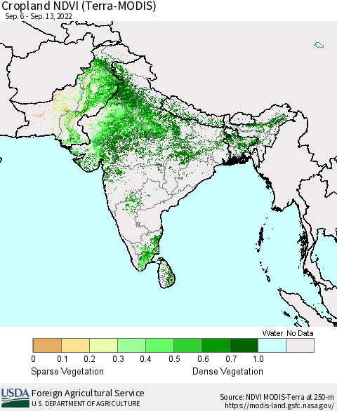 Southern Asia Cropland NDVI (Terra-MODIS) Thematic Map For 9/11/2022 - 9/20/2022