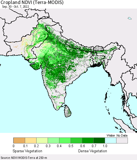 Southern Asia Cropland NDVI (Terra-MODIS) Thematic Map For 9/30/2022 - 10/7/2022