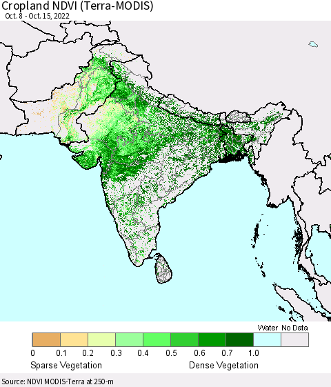 Southern Asia Cropland NDVI (Terra-MODIS) Thematic Map For 10/8/2022 - 10/15/2022