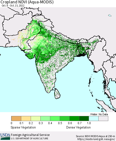 Southern Asia Cropland NDVI (Terra-MODIS) Thematic Map For 10/11/2022 - 10/20/2022