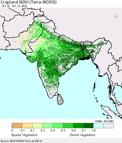 Southern Asia Cropland NDVI (Terra-MODIS) Thematic Map For 10/16/2022 - 10/23/2022