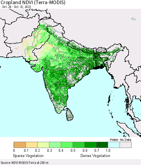 Southern Asia Cropland NDVI (Terra-MODIS) Thematic Map For 10/21/2022 - 10/31/2022
