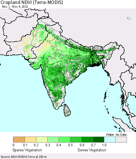 Southern Asia Cropland NDVI (Terra-MODIS) Thematic Map For 11/1/2022 - 11/8/2022