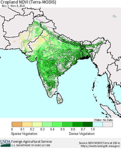 Southern Asia Cropland NDVI (Terra-MODIS) Thematic Map For 11/1/2022 - 11/10/2022