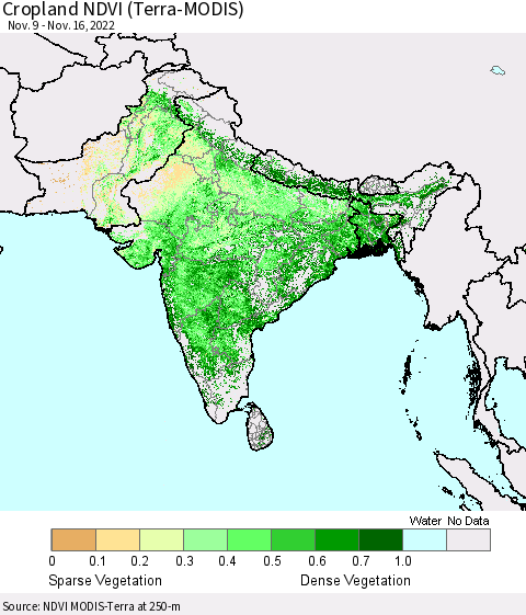 Southern Asia Cropland NDVI (Terra-MODIS) Thematic Map For 11/9/2022 - 11/16/2022