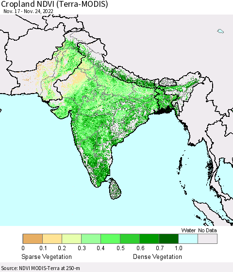 Southern Asia Cropland NDVI (Terra-MODIS) Thematic Map For 11/17/2022 - 11/24/2022