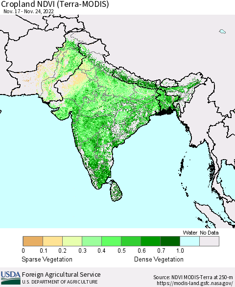 Southern Asia Cropland NDVI (Terra-MODIS) Thematic Map For 11/21/2022 - 11/30/2022