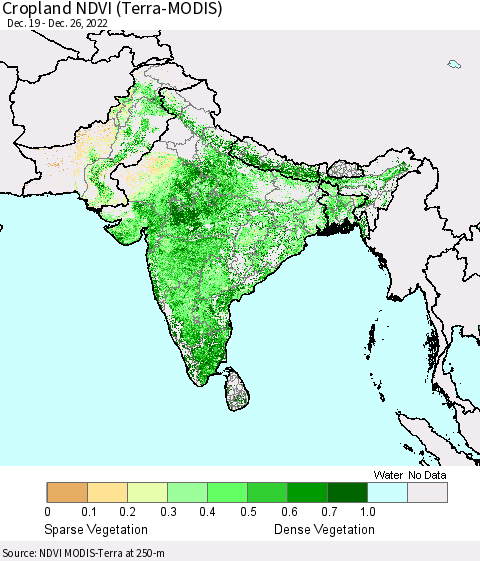 Southern Asia Cropland NDVI (Terra-MODIS) Thematic Map For 12/19/2022 - 12/26/2022