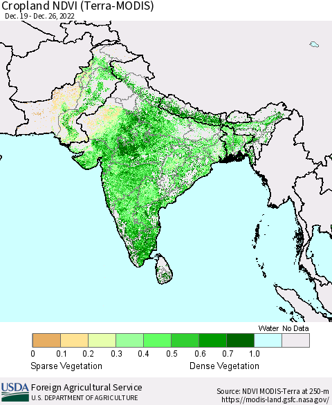 Southern Asia Cropland NDVI (Terra-MODIS) Thematic Map For 12/21/2022 - 12/31/2022