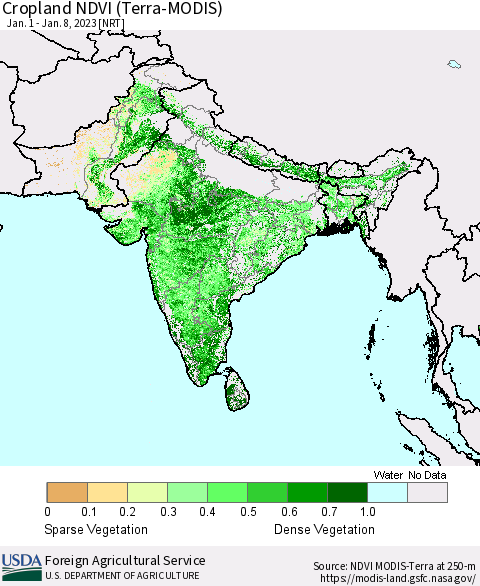 Southern Asia Cropland NDVI (Terra-MODIS) Thematic Map For 1/1/2023 - 1/10/2023