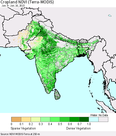 Southern Asia Cropland NDVI (Terra-MODIS) Thematic Map For 1/9/2023 - 1/16/2023