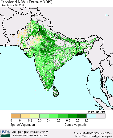 Southern Asia Cropland NDVI (Terra-MODIS) Thematic Map For 1/11/2023 - 1/20/2023