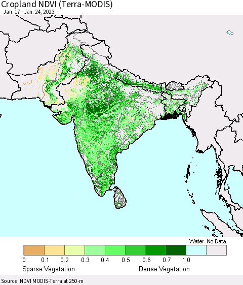 Southern Asia Cropland NDVI (Terra-MODIS) Thematic Map For 1/17/2023 - 1/24/2023
