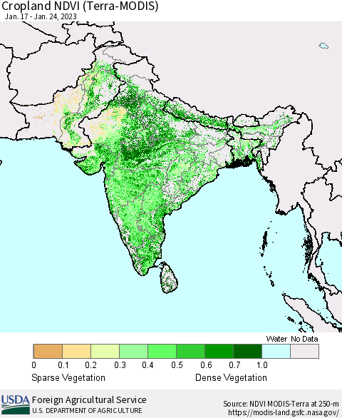 Southern Asia Cropland NDVI (Terra-MODIS) Thematic Map For 1/21/2023 - 1/31/2023
