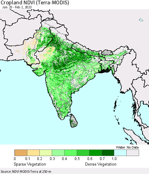 Southern Asia Cropland NDVI (Terra-MODIS) Thematic Map For 1/25/2023 - 2/1/2023