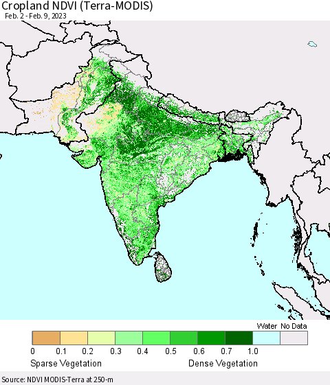 Southern Asia Cropland NDVI (Terra-MODIS) Thematic Map For 2/2/2023 - 2/9/2023