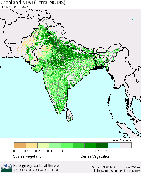 Southern Asia Cropland NDVI (Terra-MODIS) Thematic Map For 2/1/2023 - 2/10/2023