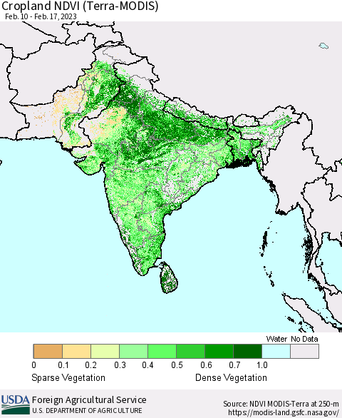 Southern Asia Cropland NDVI (Terra-MODIS) Thematic Map For 2/11/2023 - 2/20/2023