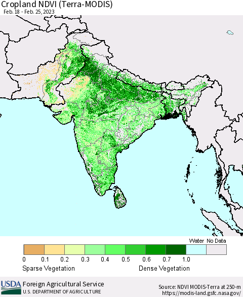 Southern Asia Cropland NDVI (Terra-MODIS) Thematic Map For 2/21/2023 - 2/28/2023