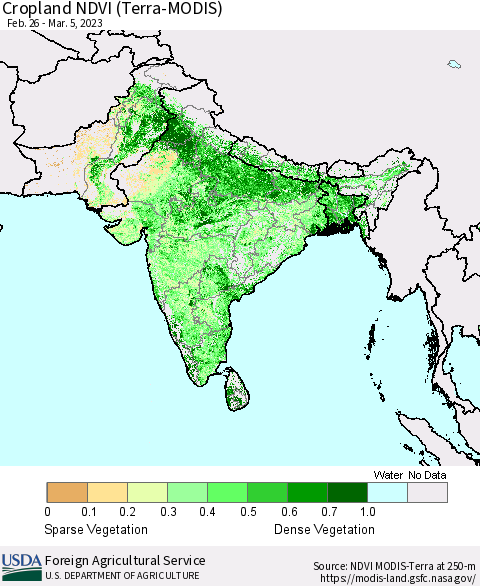 Southern Asia Cropland NDVI (Terra-MODIS) Thematic Map For 3/1/2023 - 3/10/2023