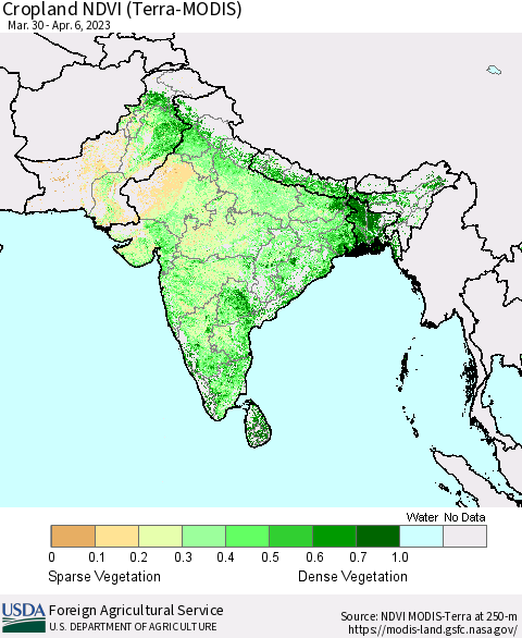 Southern Asia Cropland NDVI (Terra-MODIS) Thematic Map For 4/1/2023 - 4/10/2023