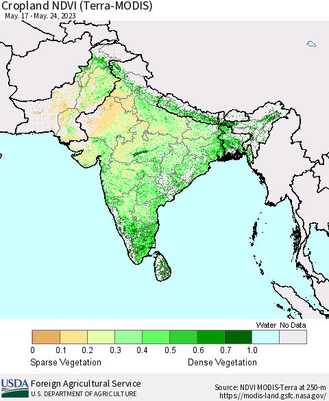 Southern Asia Cropland NDVI (Terra-MODIS) Thematic Map For 5/21/2023 - 5/31/2023