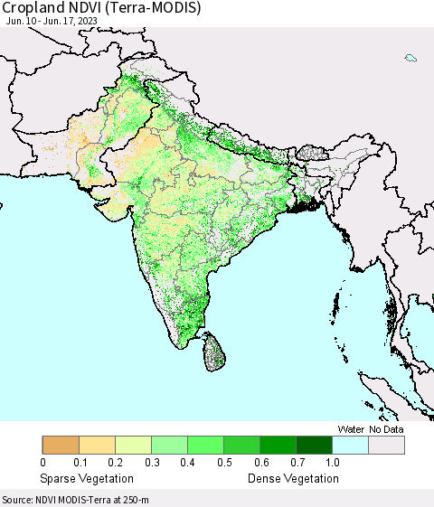 Southern Asia Cropland NDVI (Terra-MODIS) Thematic Map For 6/10/2023 - 6/17/2023