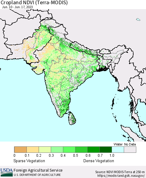 Southern Asia Cropland NDVI (Terra-MODIS) Thematic Map For 6/11/2023 - 6/20/2023